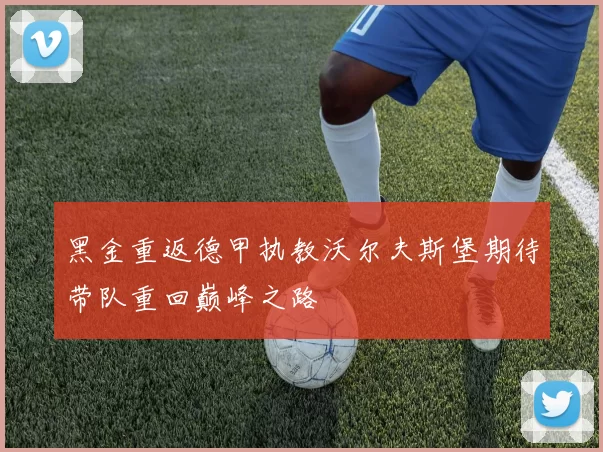 黑金重返德甲执教沃尔夫斯堡期待带队重回巅峰之路