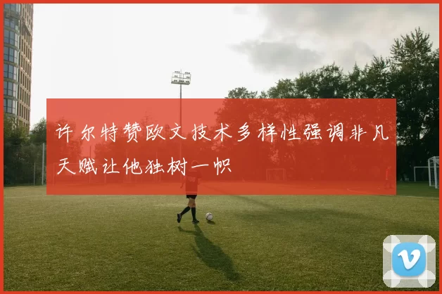 许尔特赞欧文技术多样性强调非凡天赋让他独树一帜