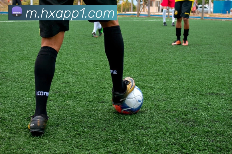 多媒体互动体验